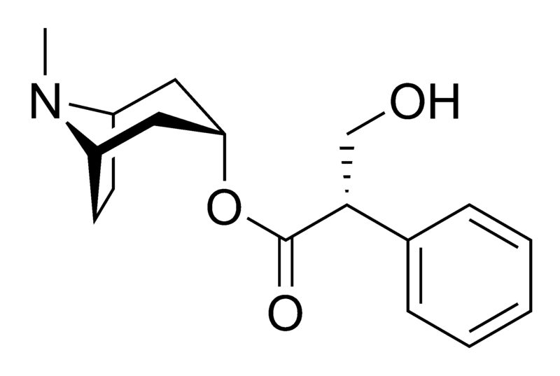 Diagram representing the molecular structure of hyoscyamine